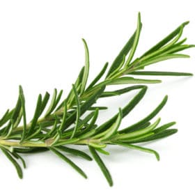 camembert mit rauchsalz und frischen rosmarin