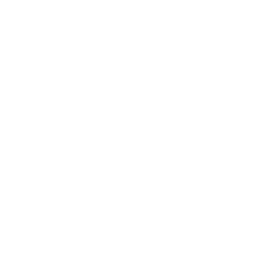 Feuer Barbecue Icon
